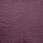 dux0196 var 901 violetto