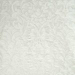 dux0236 var101 bianco